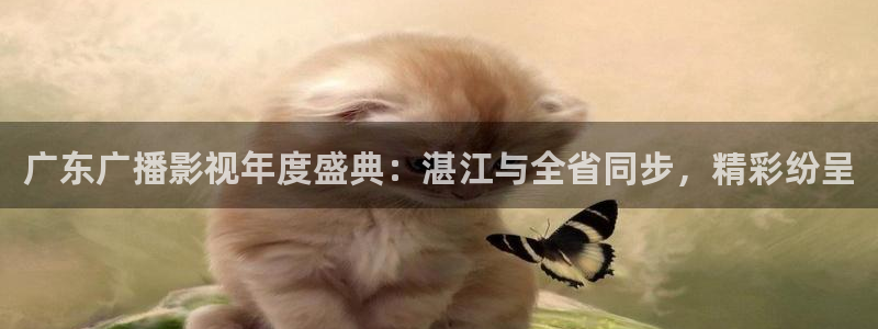 扫黑风暴在线观看免费完整版星辰影院